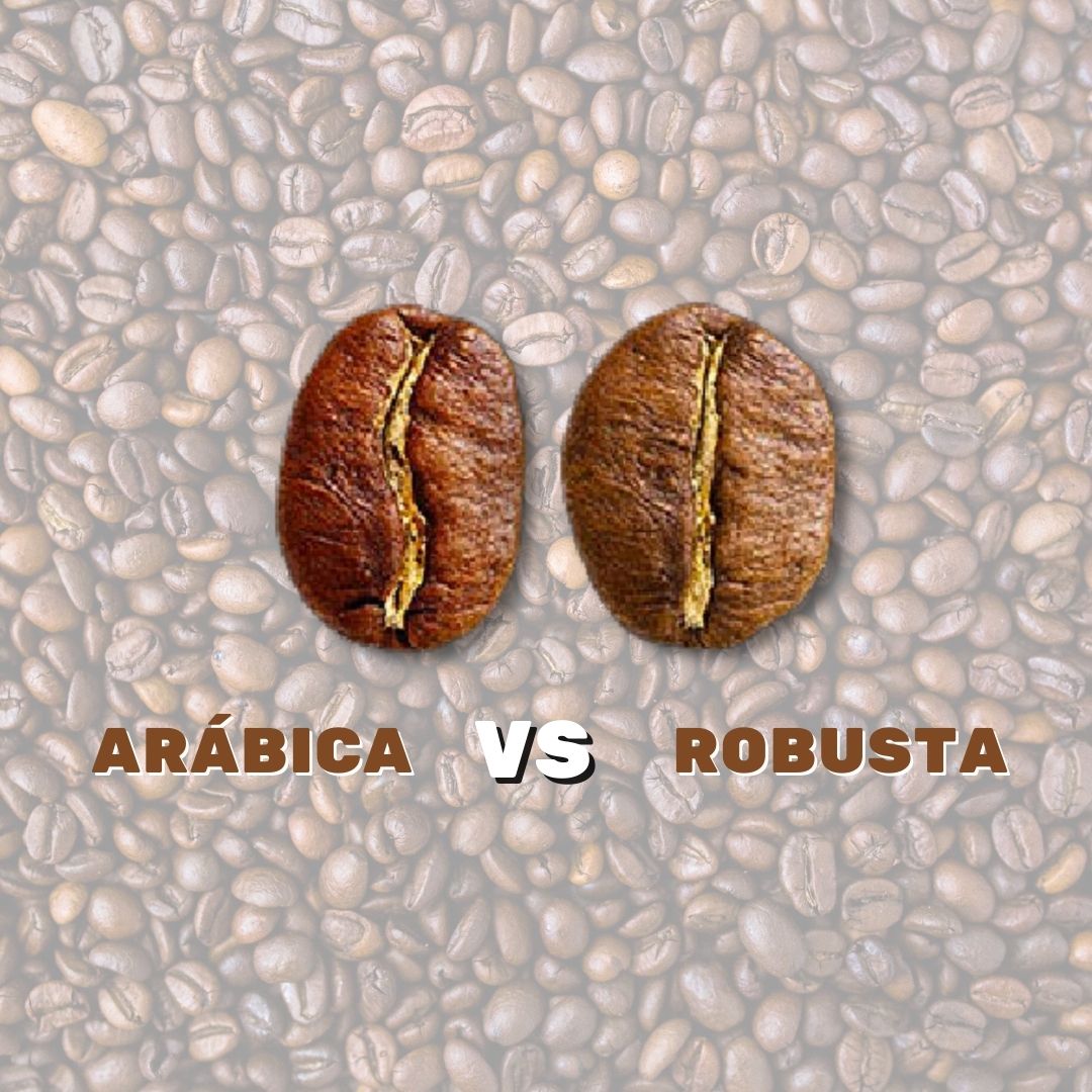 Café Arábica x Café Robusta. Você sabe qual é a diferença?